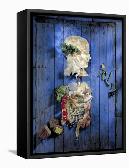 Organic Food, Conceptual Image-Biddle Biddle-Framed Stretched Canvas