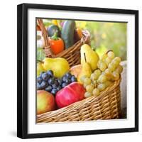 Organic Food - Healthy Food-lola1960-Framed Photographic Print