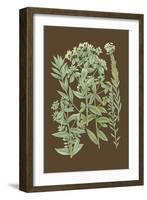 Organic Greenery I-Johann Wilhelm Weinmann-Framed Art Print