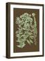 Organic Greenery I-Johann Wilhelm Weinmann-Framed Art Print