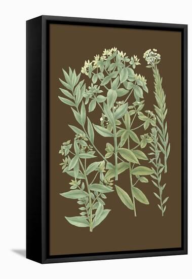 Organic Greenery I-Johann Wilhelm Weinmann-Framed Stretched Canvas