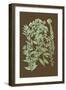 Organic Greenery I-Johann Wilhelm Weinmann-Framed Art Print