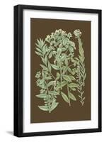 Organic Greenery I-Johann Wilhelm Weinmann-Framed Art Print