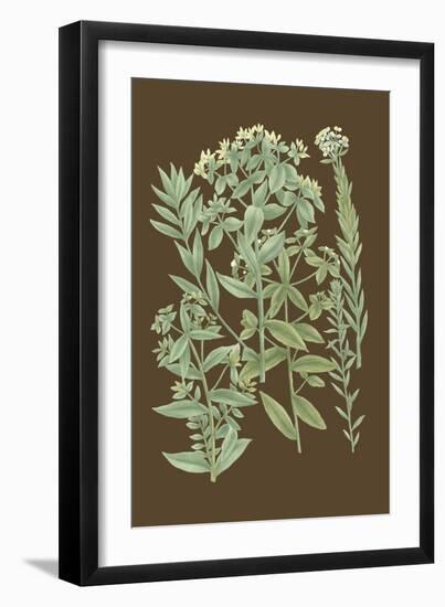 Organic Greenery I-Johann Wilhelm Weinmann-Framed Art Print