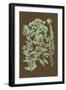 Organic Greenery I-Johann Wilhelm Weinmann-Framed Art Print