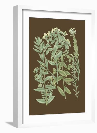 Organic Greenery I-Johann Wilhelm Weinmann-Framed Art Print