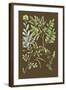 Organic Greenery II-Johann Wilhelm Weinmann-Framed Art Print