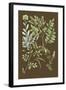 Organic Greenery II-Johann Wilhelm Weinmann-Framed Art Print