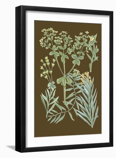 Organic Greenery IV-Johann Wilhelm Weinmann-Framed Art Print