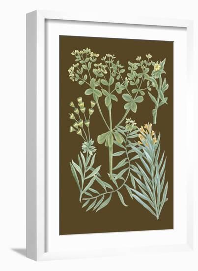 Organic Greenery IV-Johann Wilhelm Weinmann-Framed Art Print