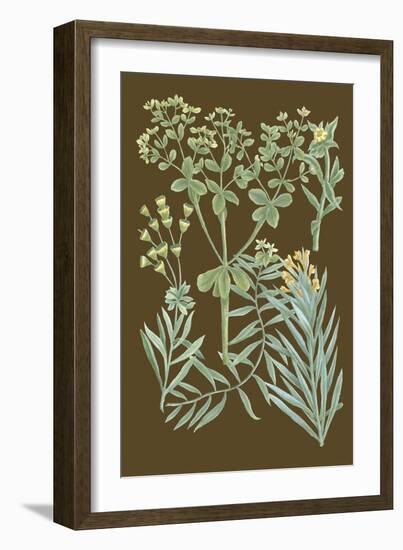 Organic Greenery IV-Johann Wilhelm Weinmann-Framed Art Print