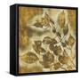 Organic Harmony II-Randy Hibberd-Framed Stretched Canvas