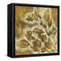 Organic Harmony II-Randy Hibberd-Framed Stretched Canvas