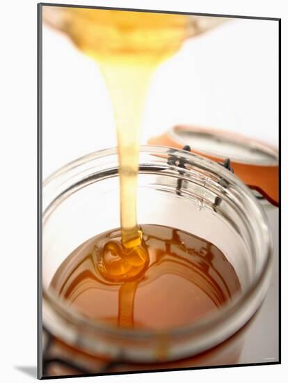 Organic Honey Running into a Honey Jar-Paul Blundell-Mounted Photographic Print