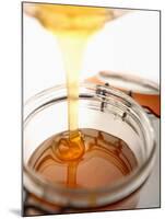 Organic Honey Running into a Honey Jar-Paul Blundell-Mounted Photographic Print