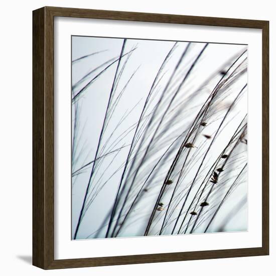 Organic I-Tony Koukos-Framed Giclee Print