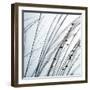 Organic I-Tony Koukos-Framed Giclee Print