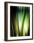 Organic I-Andrew Michaels-Framed Photographic Print