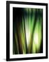 Organic I-Andrew Michaels-Framed Photographic Print