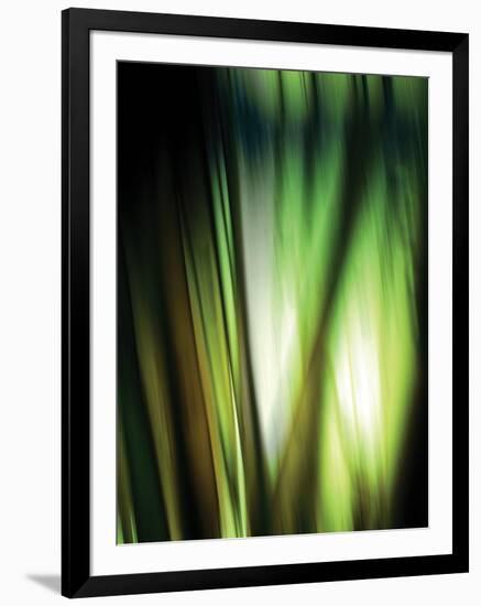 Organic I-Andrew Michaels-Framed Photographic Print