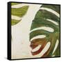 Organic I-Patricia Pinto-Framed Stretched Canvas