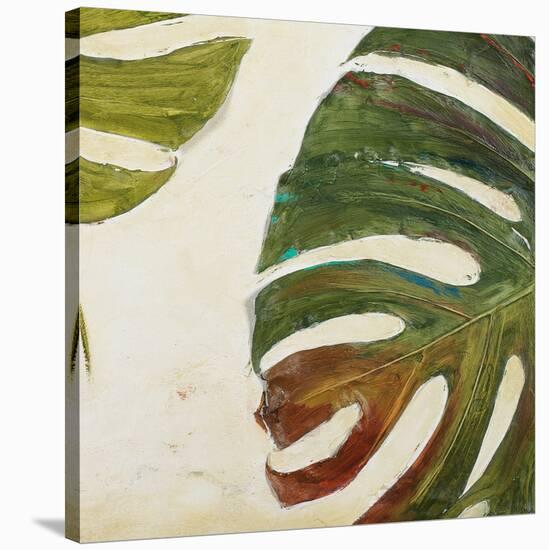 Organic I-Patricia Pinto-Stretched Canvas