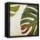 Organic I-Patricia Pinto-Framed Stretched Canvas