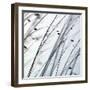 Organic II-Tony Koukos-Framed Giclee Print