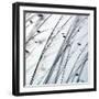 Organic II-Tony Koukos-Framed Giclee Print