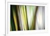 Organic II-Andrew Michaels-Framed Photographic Print