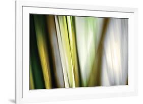 Organic II-Andrew Michaels-Framed Photographic Print