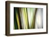 Organic II-Andrew Michaels-Framed Premium Photographic Print