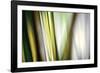 Organic II-Andrew Michaels-Framed Photographic Print