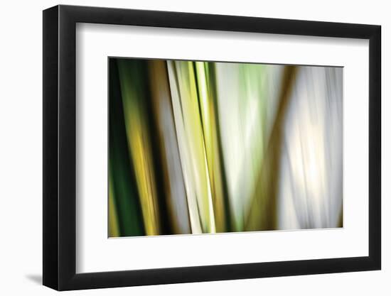 Organic II-Andrew Michaels-Framed Photographic Print