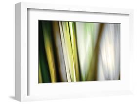 Organic II-Andrew Michaels-Framed Photographic Print