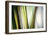 Organic II-Andrew Michaels-Framed Photographic Print