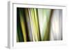 Organic II-Andrew Michaels-Framed Photographic Print