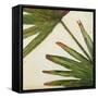 Organic III-Patricia Pinto-Framed Stretched Canvas