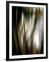 Organic III-Andrew Michaels-Framed Photographic Print