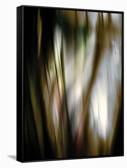 Organic III-Andrew Michaels-Framed Stretched Canvas