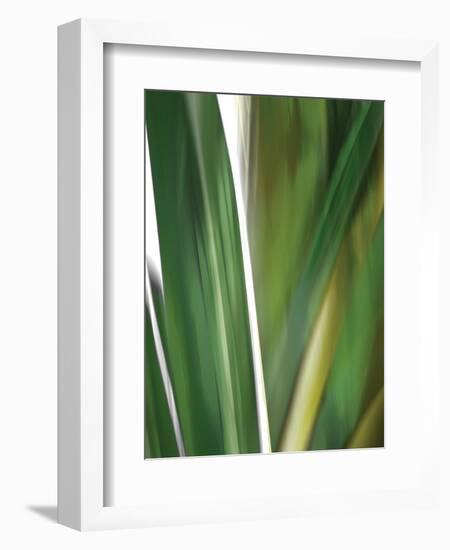 Organic IV-Andrew Michaels-Framed Photographic Print