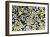 Organic Lines-Stellar Design Studio-Framed Art Print