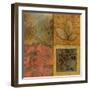 Organic Montage II-Norm Olson-Framed Art Print