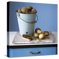 Organic Potatoes in Bucket and on Chopping Board; Brush; Knife-Michael Paul-Stretched Canvas