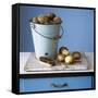 Organic Potatoes in Bucket and on Chopping Board; Brush; Knife-Michael Paul-Framed Stretched Canvas