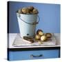 Organic Potatoes in Bucket and on Chopping Board; Brush; Knife-Michael Paul-Stretched Canvas