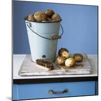 Organic Potatoes in Bucket and on Chopping Board; Brush; Knife-Michael Paul-Mounted Photographic Print