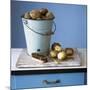 Organic Potatoes in Bucket and on Chopping Board; Brush; Knife-Michael Paul-Mounted Photographic Print