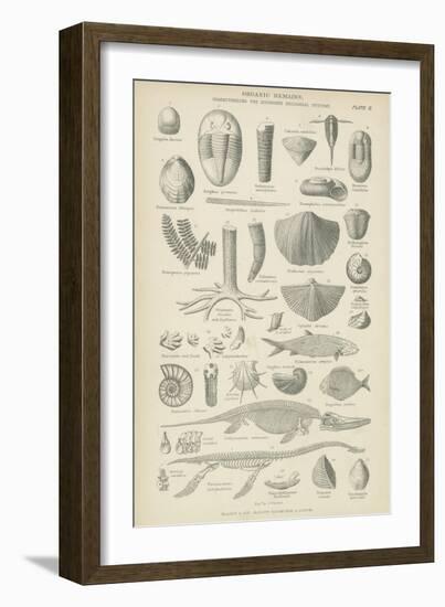 Organic Remains-null-Framed Giclee Print