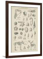 Organic Remains-null-Framed Giclee Print